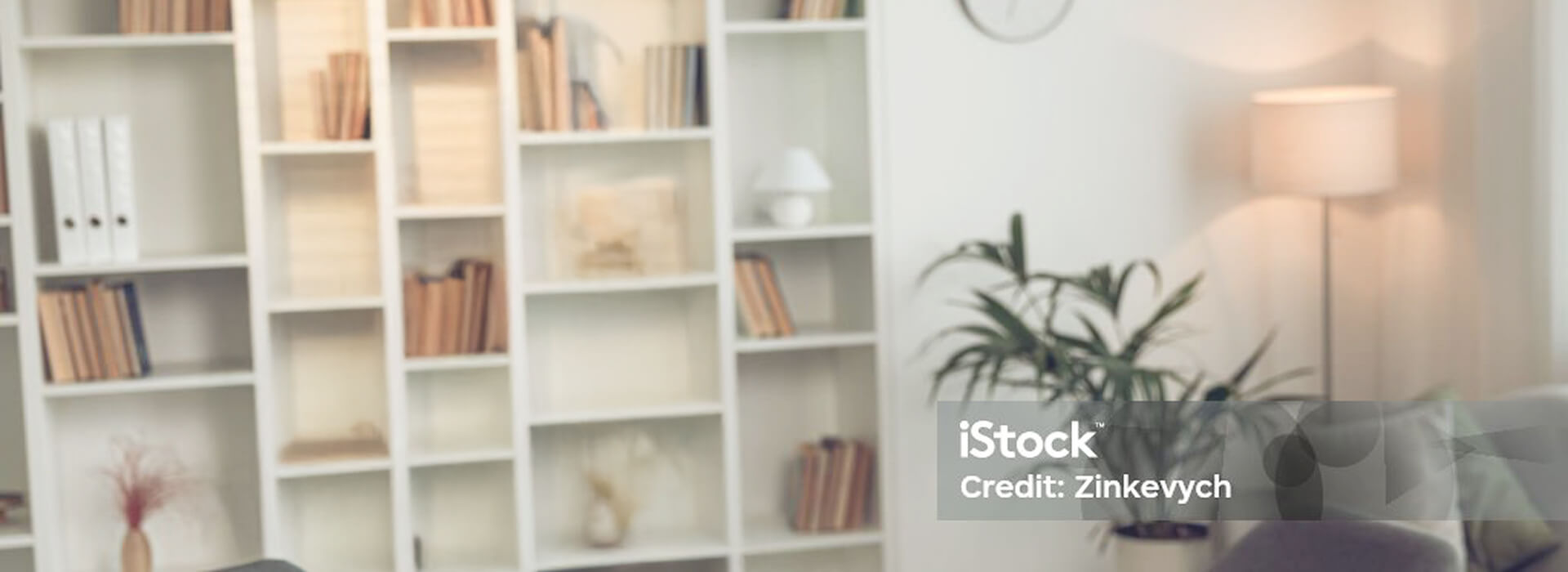 An out of focus image of a wall shelving unit with books and plants on