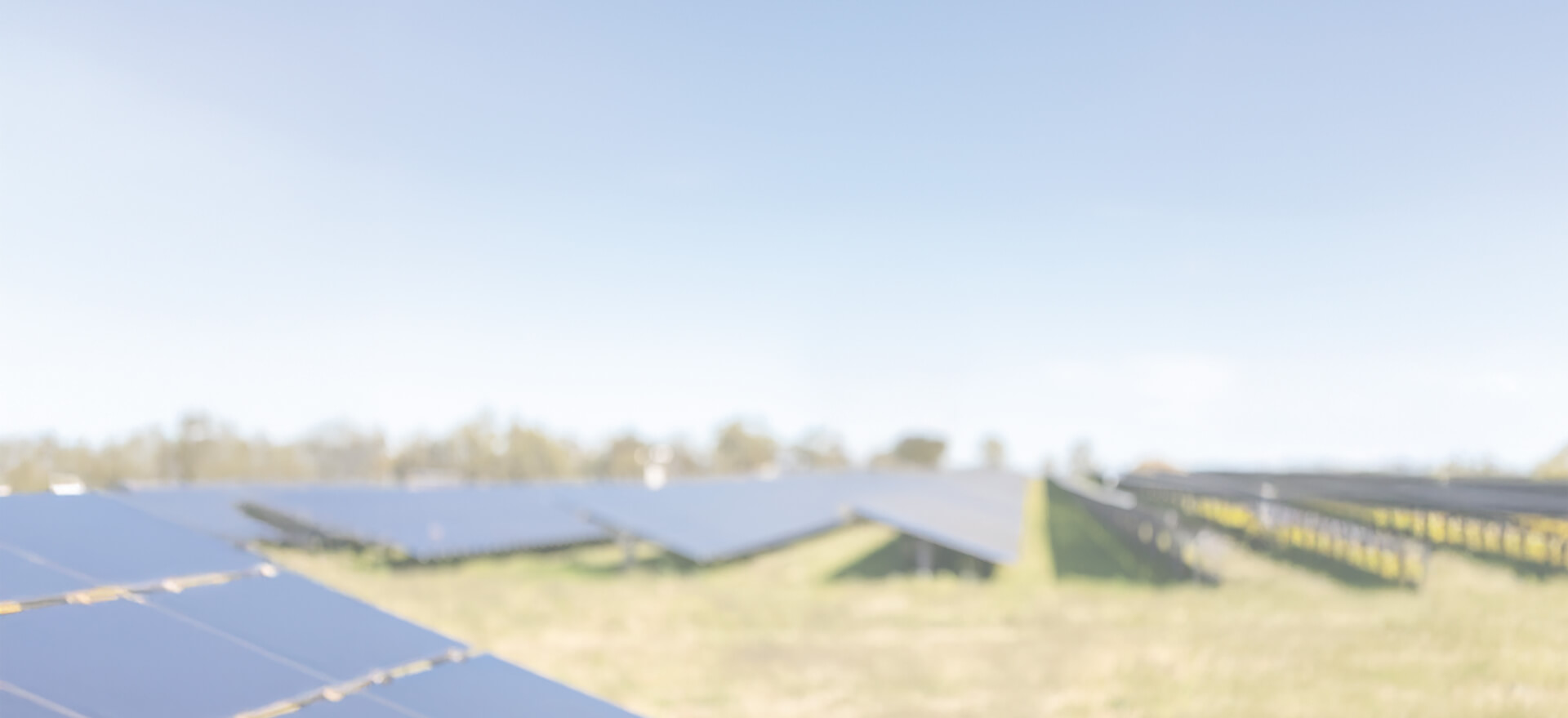 A field with solar panels