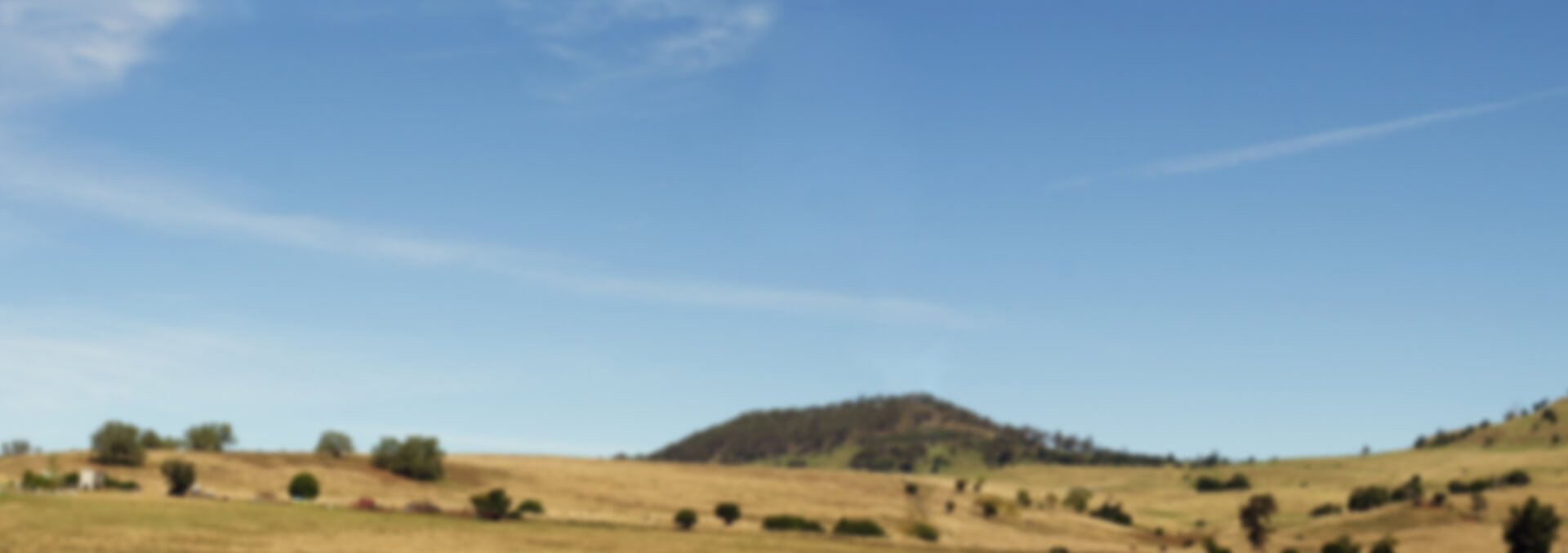 An out of focus photo of an Australian landscape