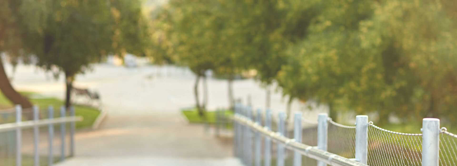 An out of focus photo of a park setting