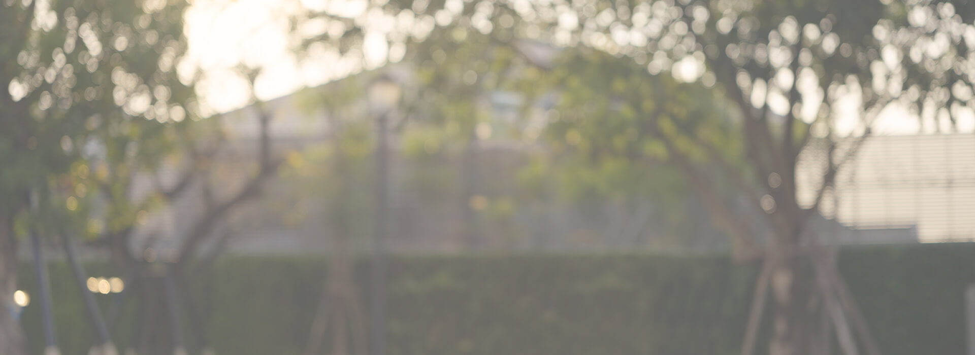 Out of focus image of a suburban street