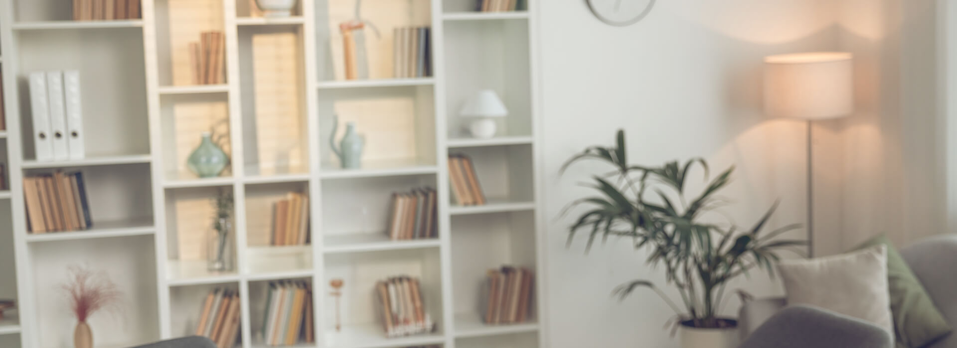 An out of focus image of a wall shelving unit with books and plants on